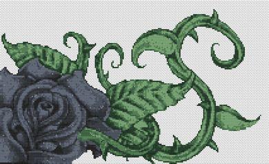 (image for) Black Rose